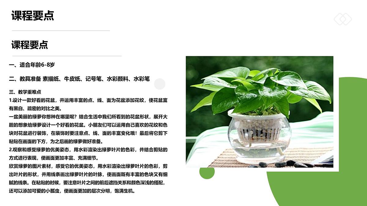 学前教育大班《一盆生机盎然的绿箩》课件第2页