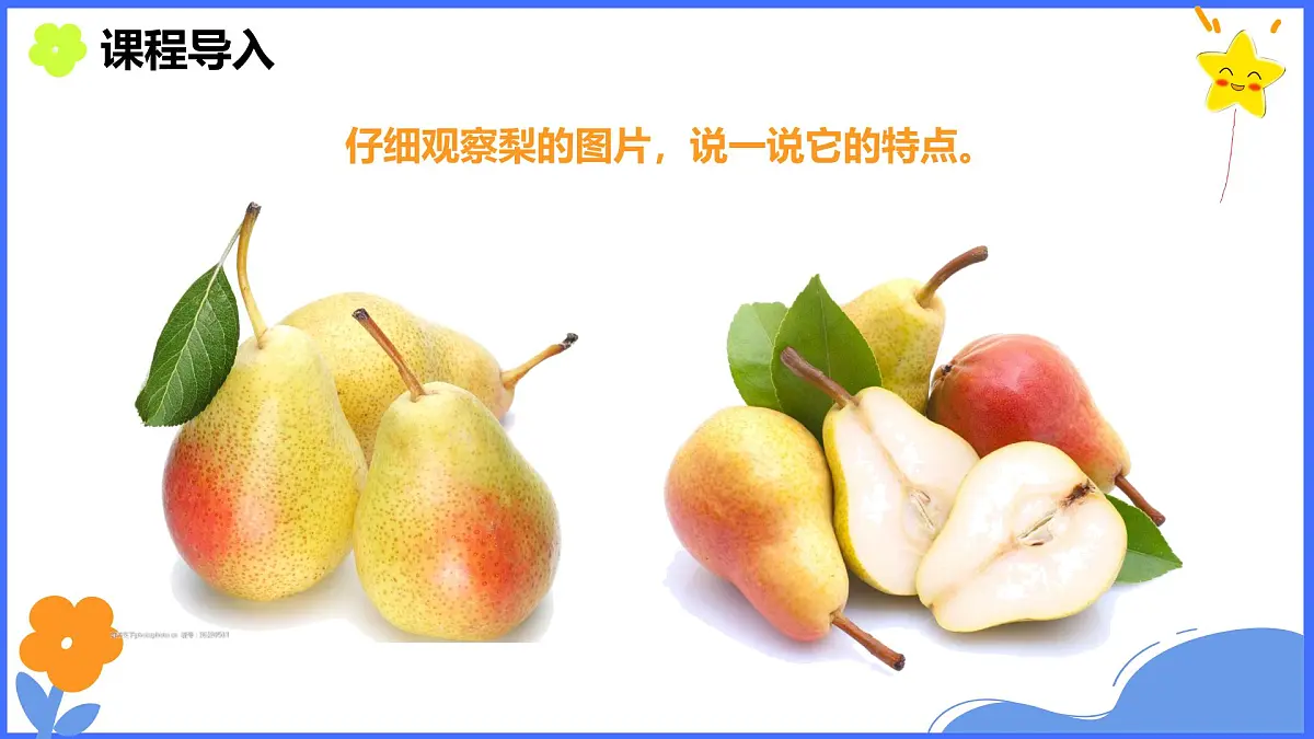 学前教育大班《秋梨》课件第5页