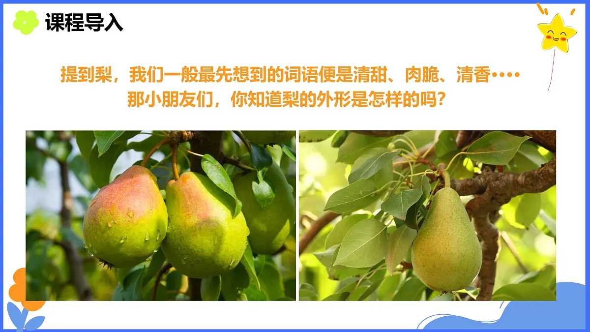 学前教育大班《秋梨》课件第6页