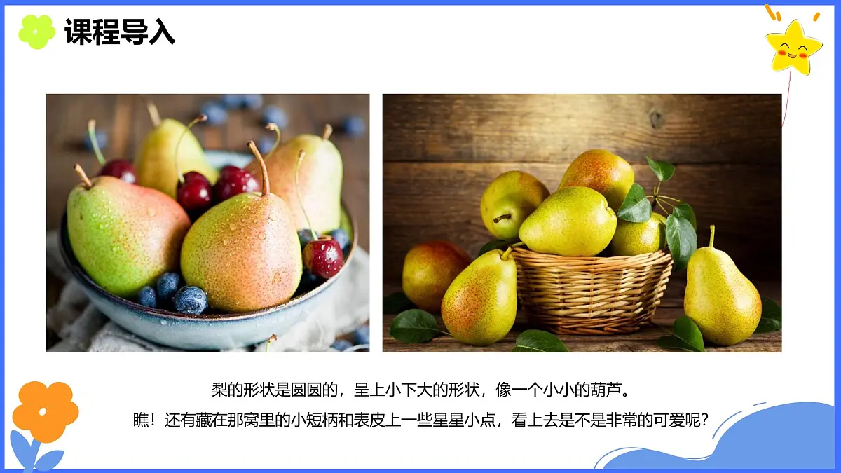 学前教育大班《秋梨》课件第7页