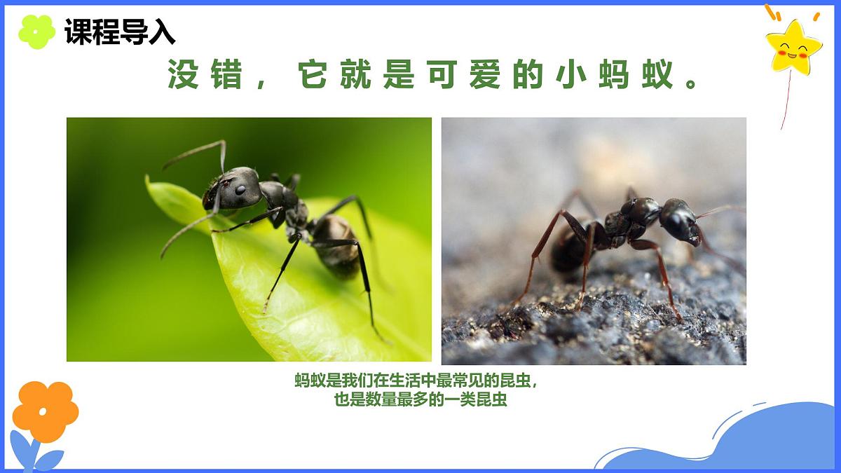 学前教育大班《丰收》课件第4页