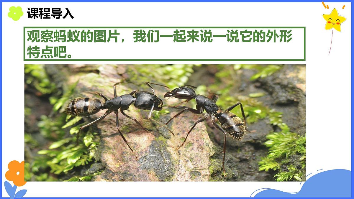 学前教育大班《丰收》课件第5页