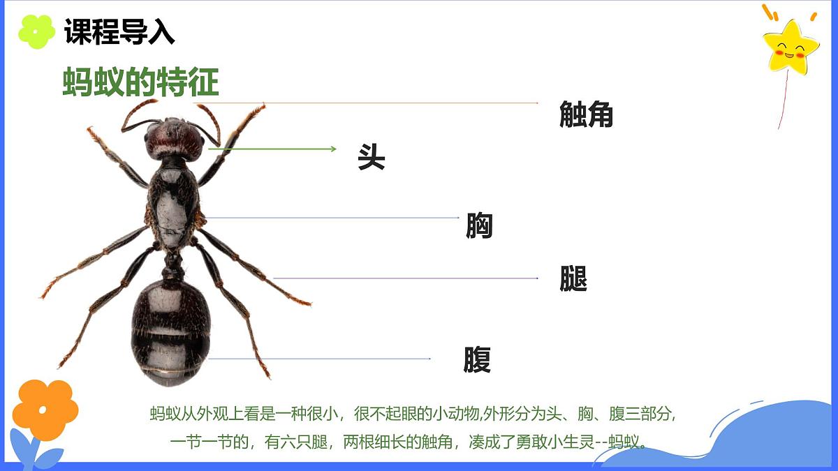 学前教育大班《丰收》课件第6页
