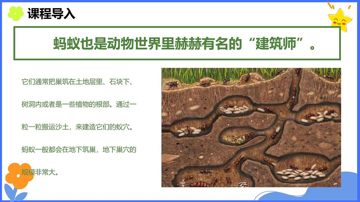学前教育大班《丰收》课件第7页