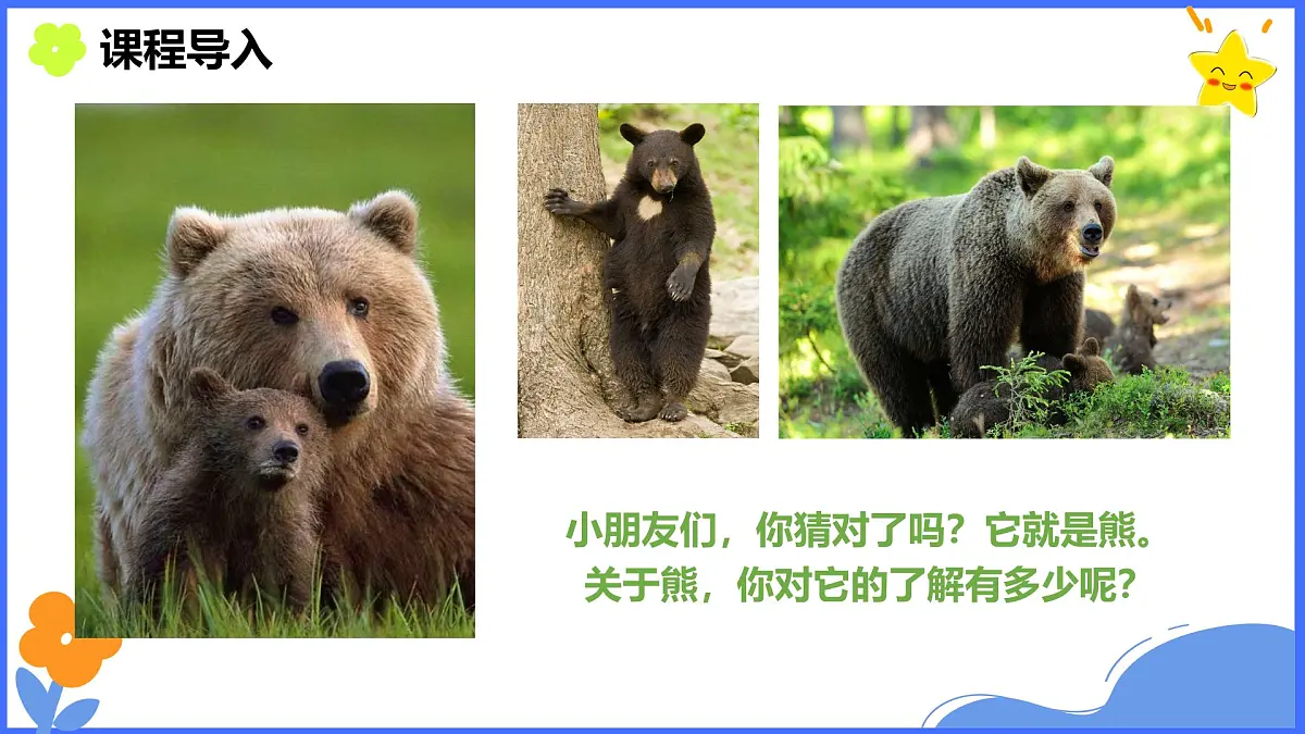 学前教育大班《秋日小熊》课件第4页