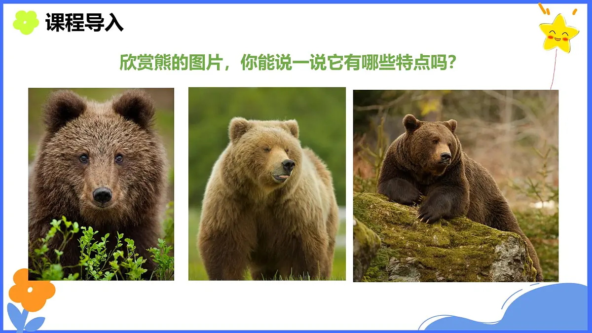 学前教育大班《秋日小熊》课件第6页