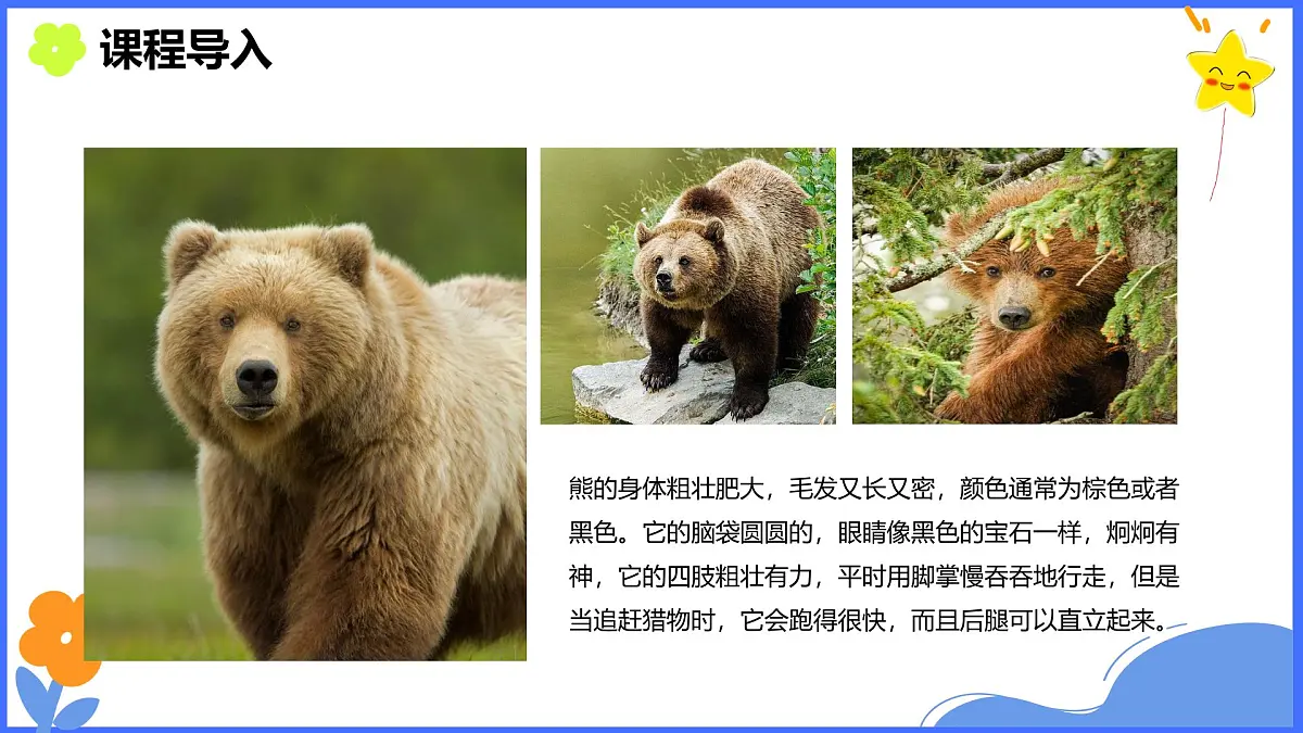 学前教育大班《秋日小熊》课件第7页