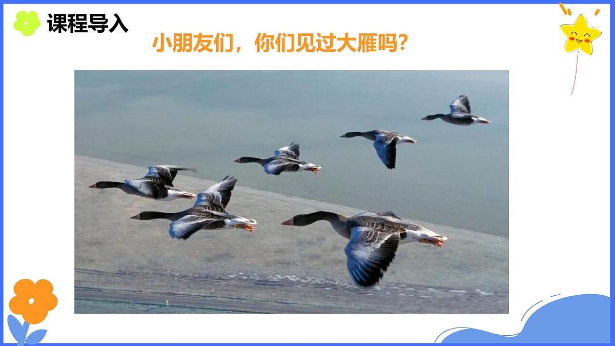 学前教育大班《迁徙》课件第3页