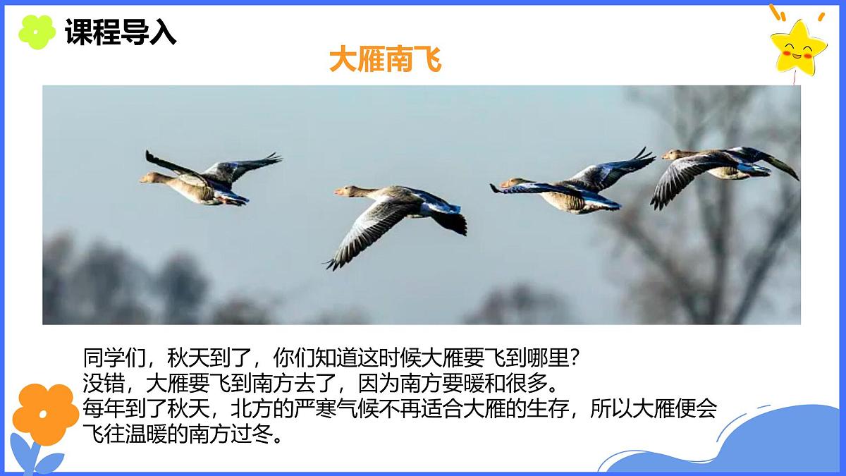 学前教育大班《迁徙》课件第4页