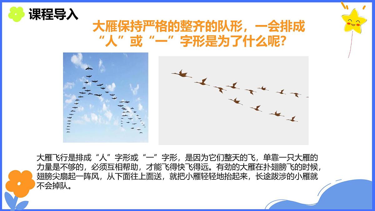 学前教育大班《迁徙》课件第5页