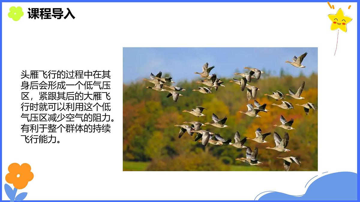 学前教育大班《迁徙》课件第6页