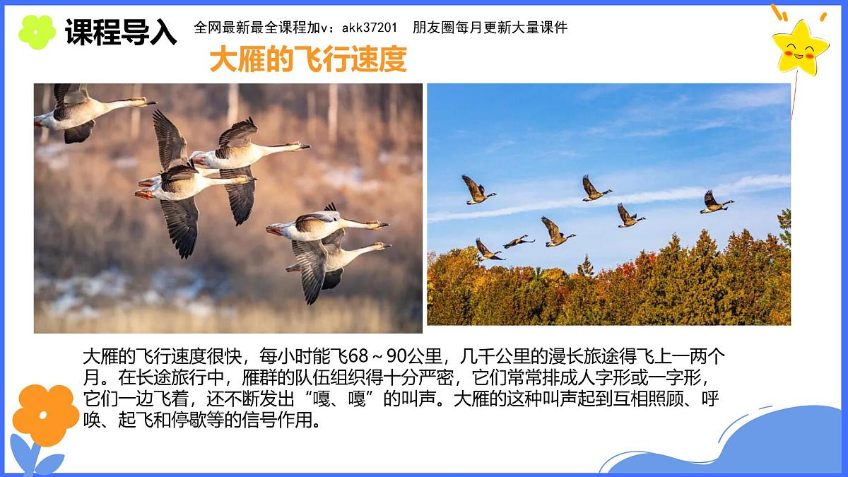 学前教育大班《迁徙》课件第7页