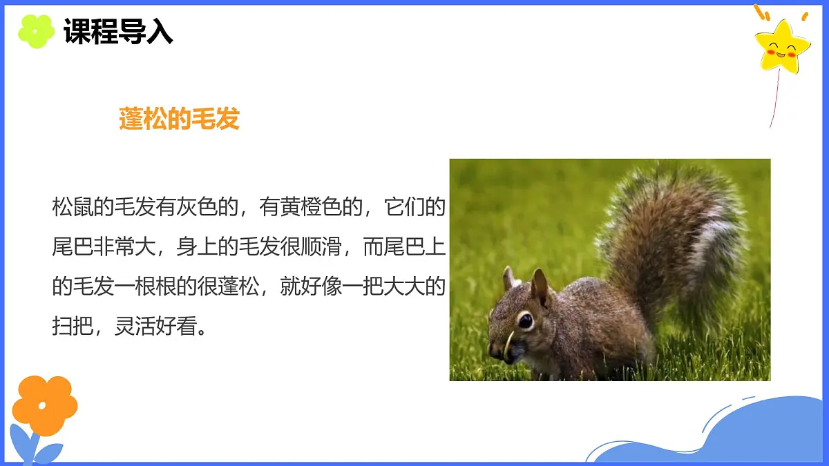 学前教育大班《松鼠与南瓜》课件第6页