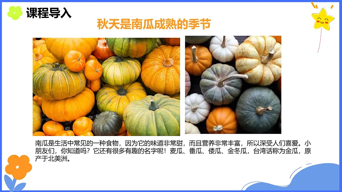 学前教育大班《松鼠与南瓜》课件第7页