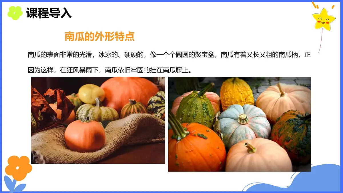 学前教育大班《松鼠与南瓜》课件第8页