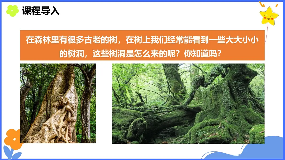学前教育大班《秋天的树洞》课件第3页