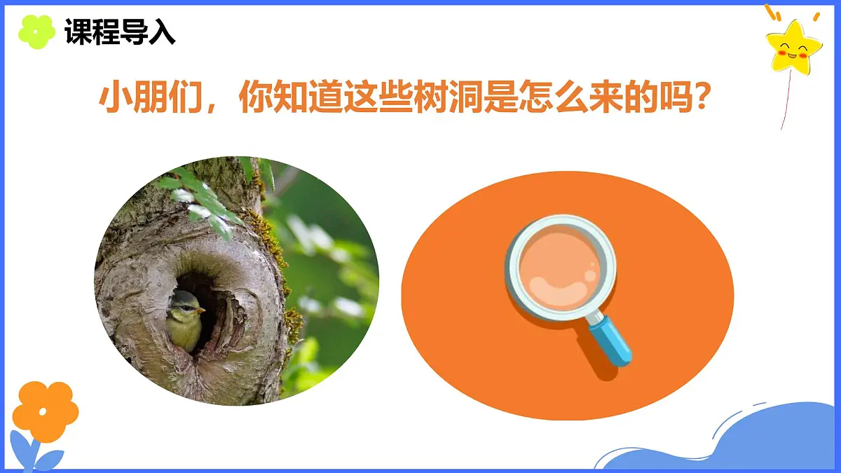 学前教育大班《秋天的树洞》课件第4页