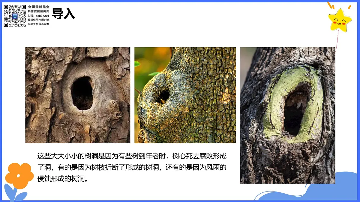 学前教育大班《秋天的树洞》课件第5页