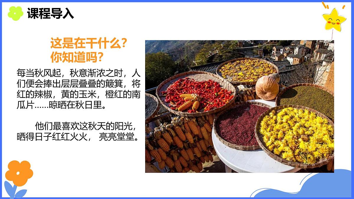 学前教育大班《晒秋》课件第3页