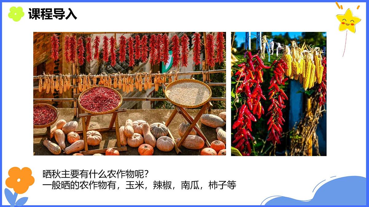 学前教育大班《晒秋》课件第6页
