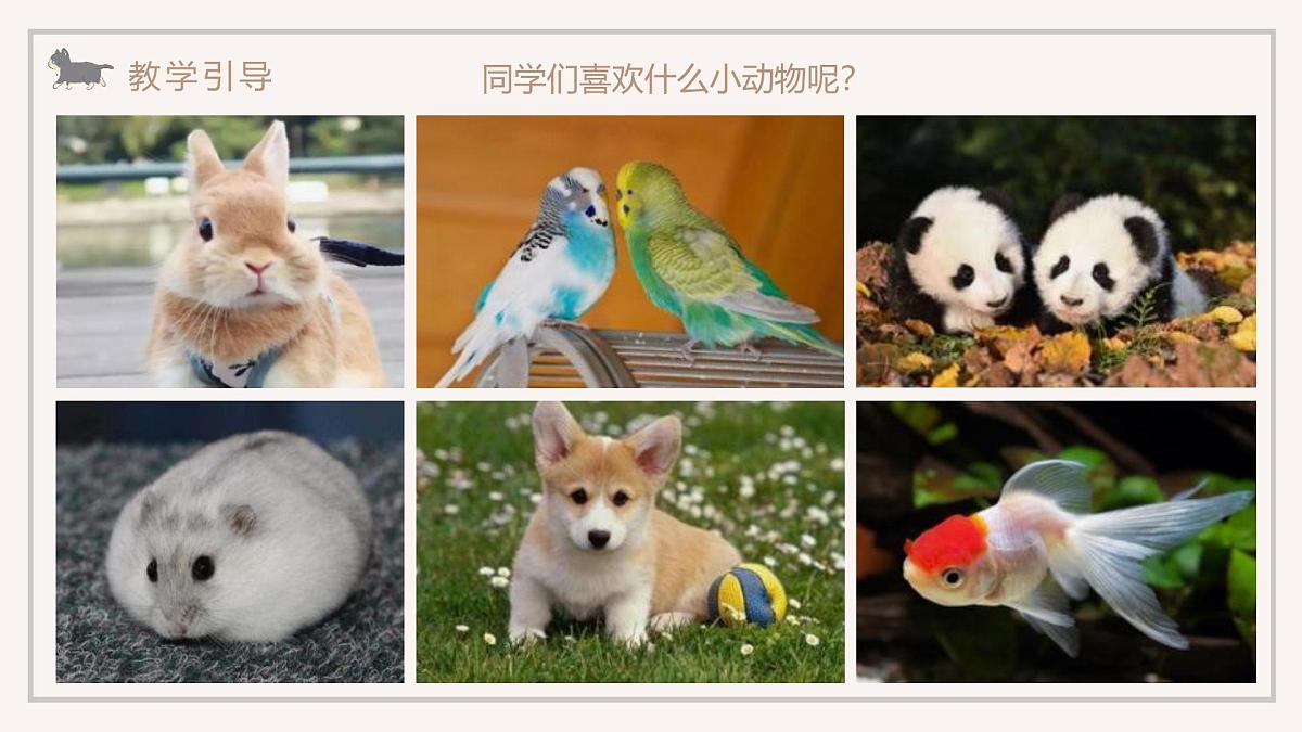 学前教育大班《喵的合影》课件第3页