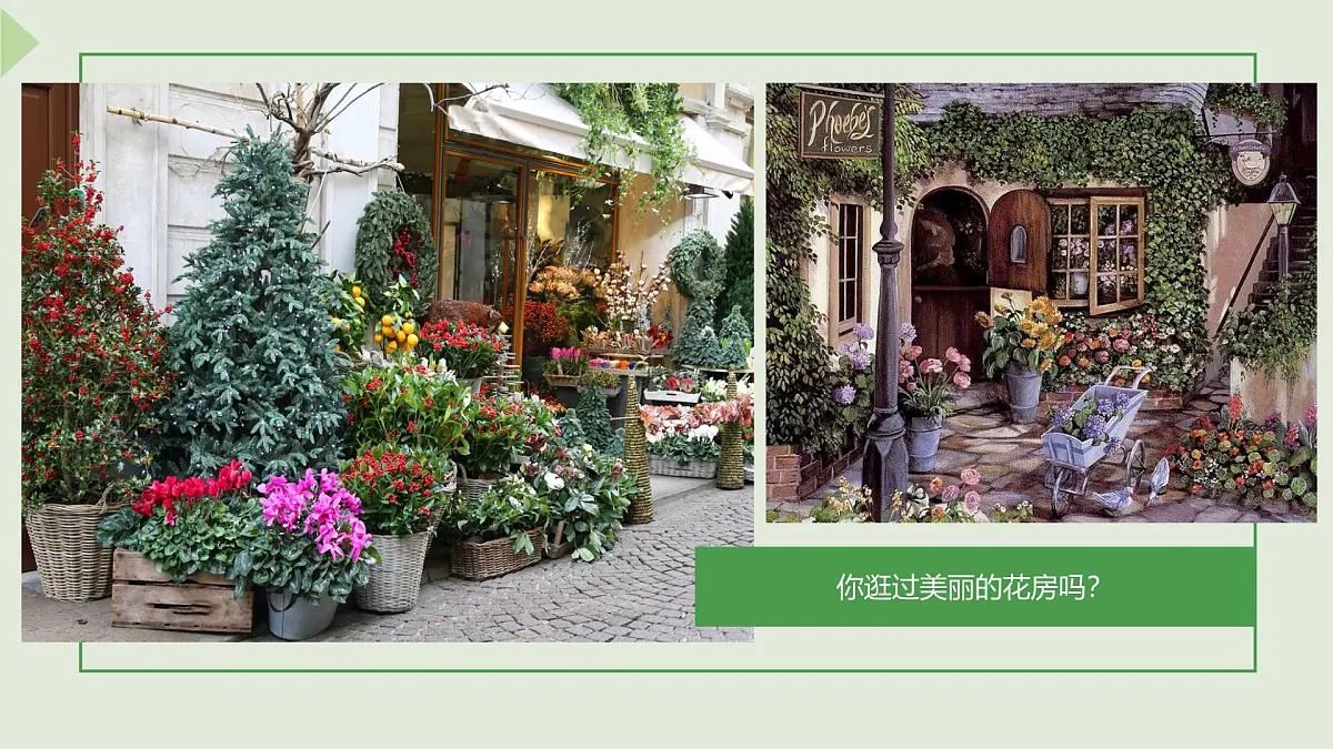 学前教育大班《美丽的花房》课件第4页