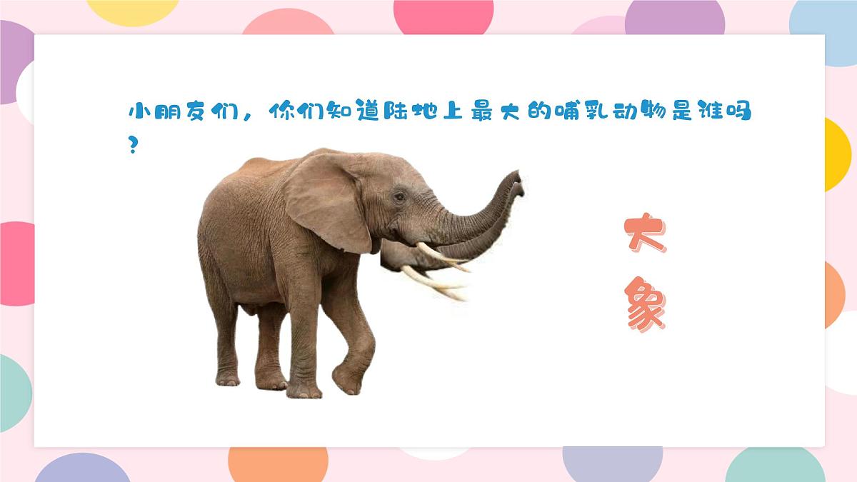 学前教育大班《波点艺术遇见大象》课件第6页