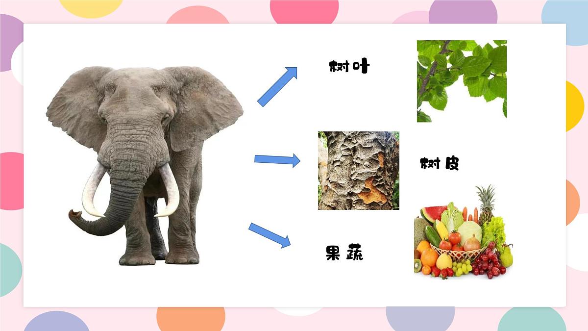 学前教育大班《波点艺术遇见大象》课件第8页