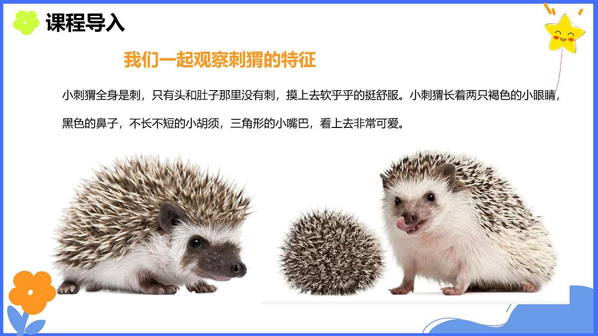 学前教育大班《秋天的小刺猬》课件第5页