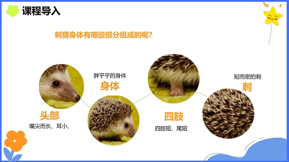 学前教育大班《秋天的小刺猬》课件第6页