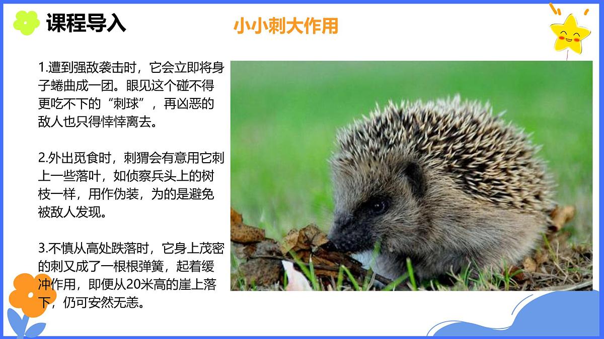 学前教育大班《秋天的小刺猬》课件第8页
