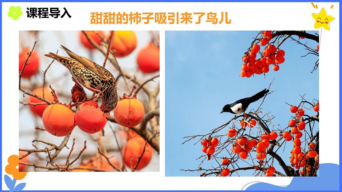 学前教育大班《柿柿如意》课件第8页