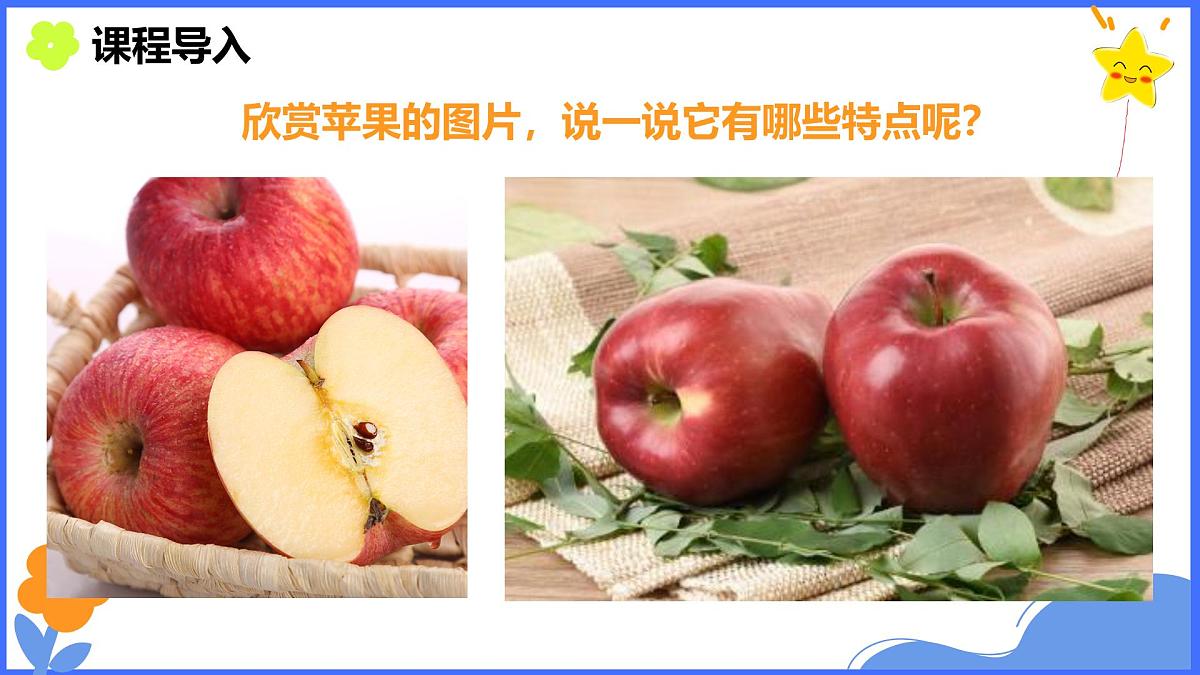 学前教育大班《苹果熟了》课件第5页