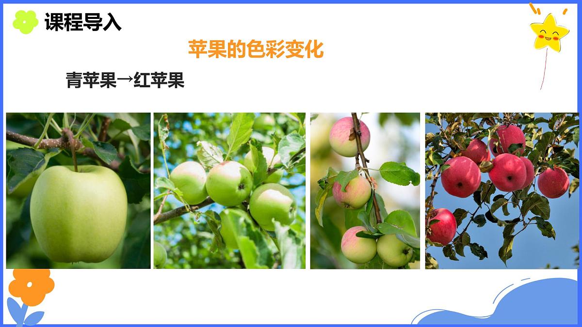 学前教育大班《苹果熟了》课件第8页