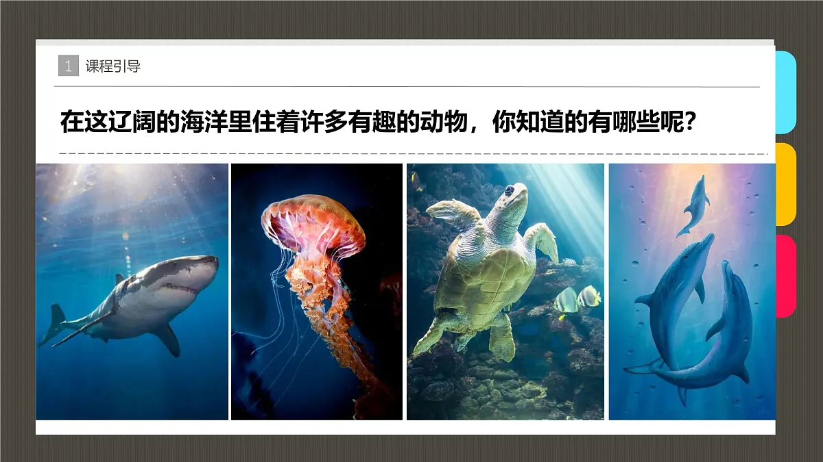 学前教育大班《大海里的蓝鲸》课件第5页