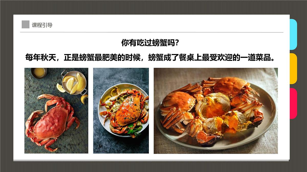学前教育大班《美味的螃蟹》课件第6页
