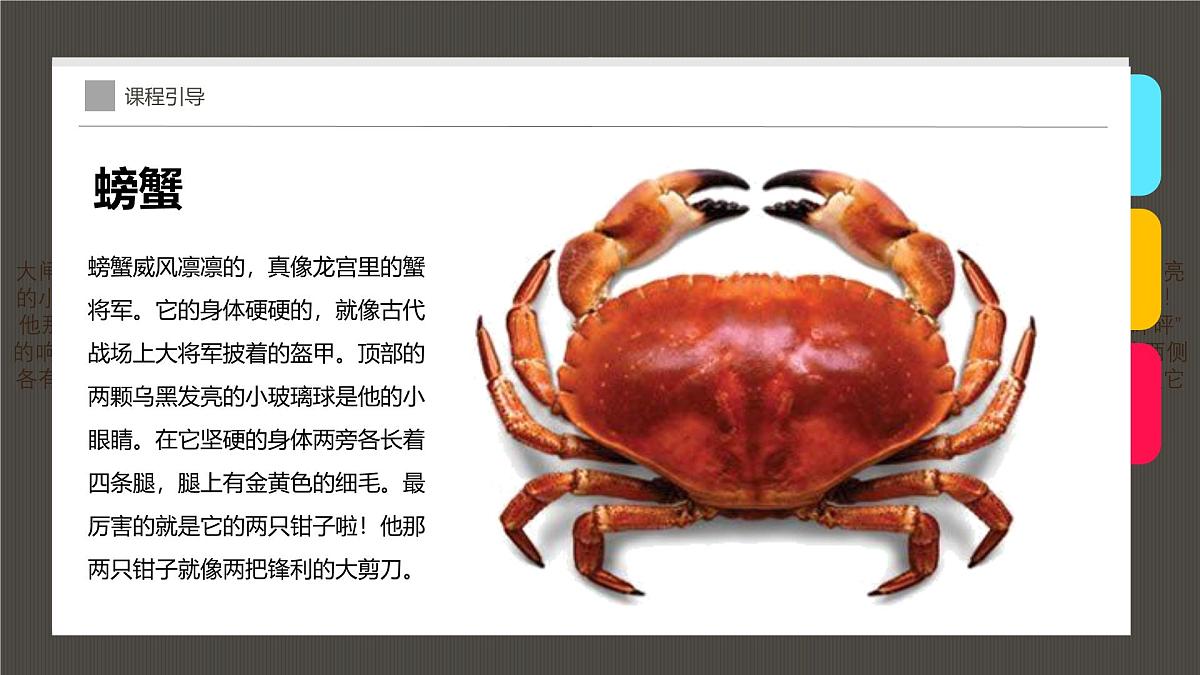 学前教育大班《美味的螃蟹》课件第8页
