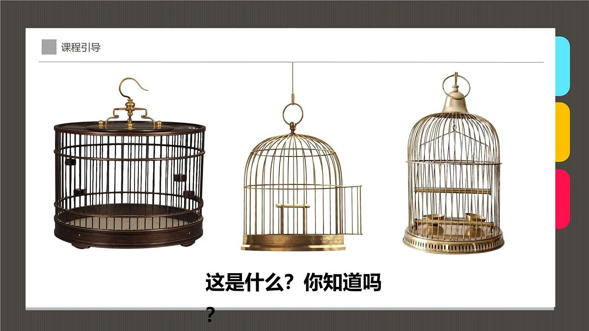 学前教育大班《笼子里的鸟》课件第4页