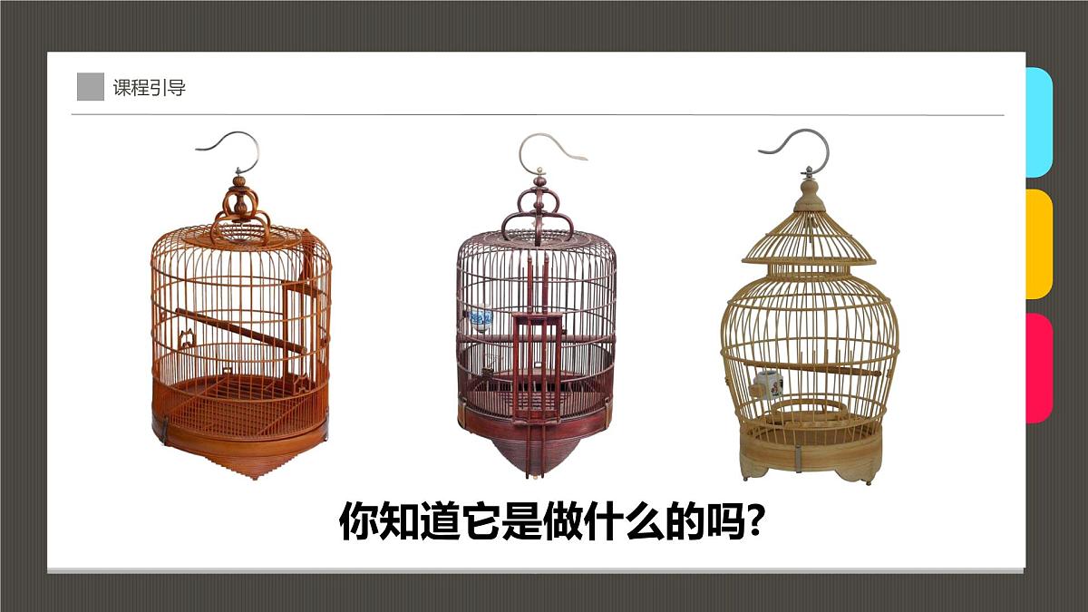 学前教育大班《笼子里的鸟》课件第5页