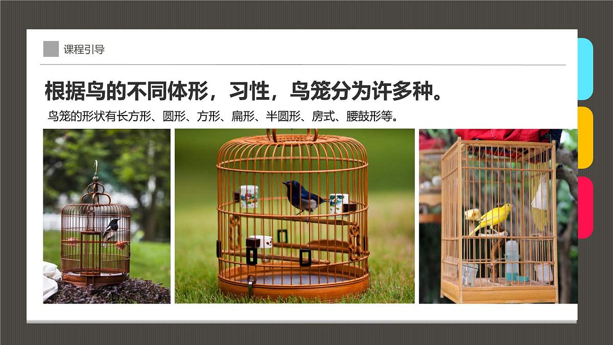 学前教育大班《笼子里的鸟》课件第7页