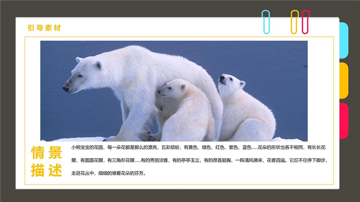 学前教育大班《小熊宝宝的花园》课件第3页