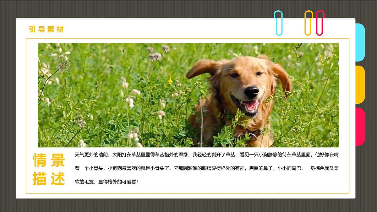 学前教育大班《爱吃骨头的小狗》课件第3页