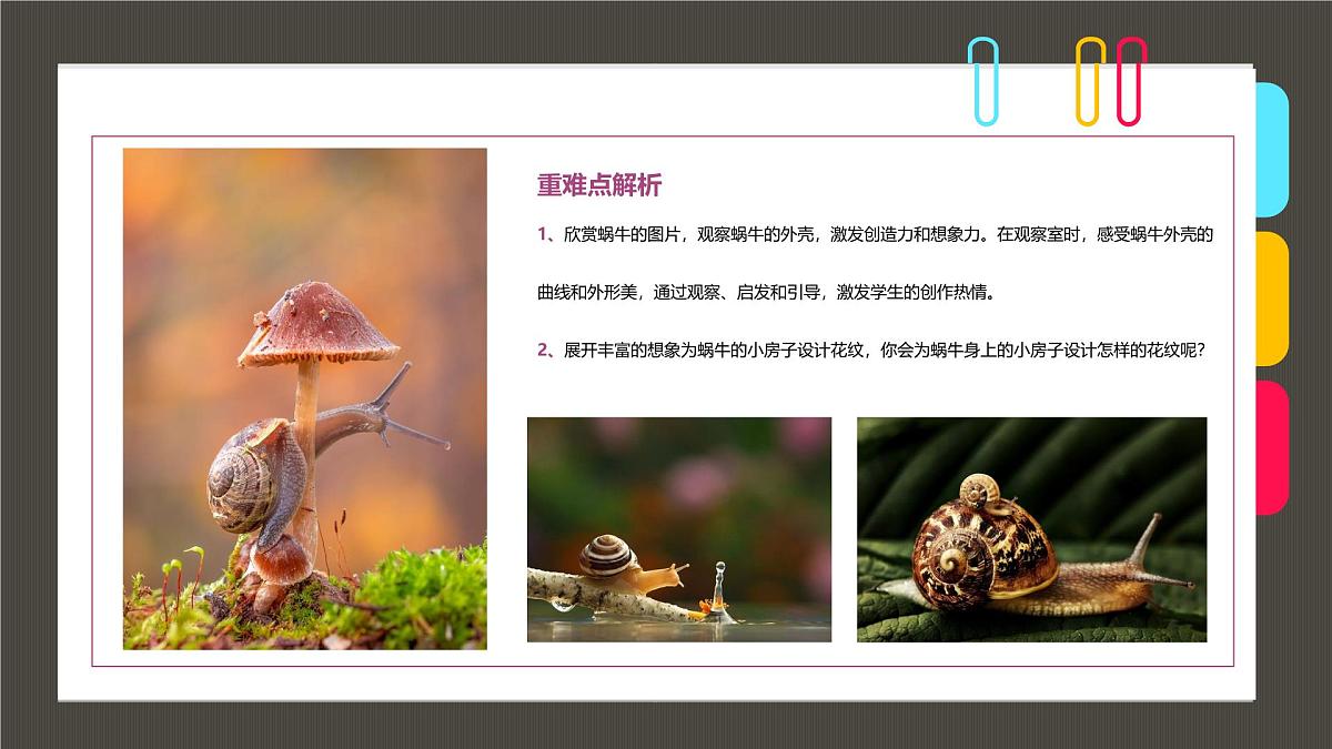 学前教育大班《蜗牛有间大房子》课件第2页