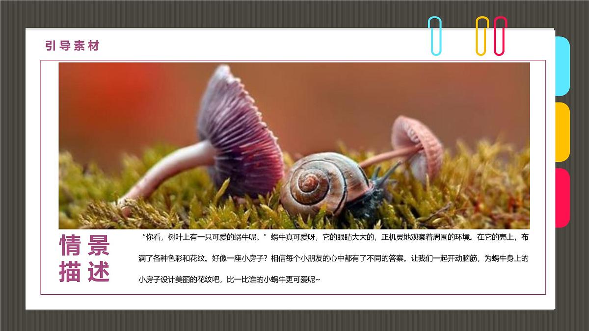 学前教育大班《蜗牛有间大房子》课件第3页