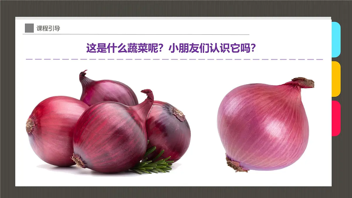 学前教育大班《“让人流泪的蔬菜”洋葱》课件第5页