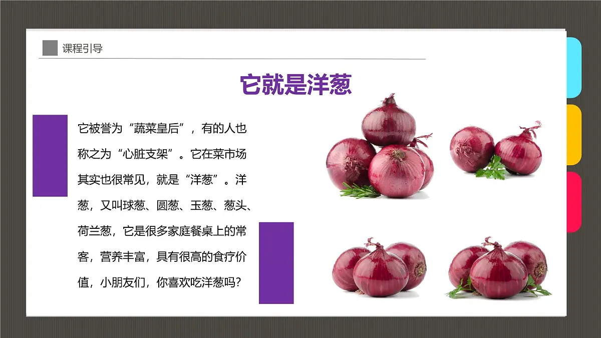 学前教育大班《“让人流泪的蔬菜”洋葱》课件第6页