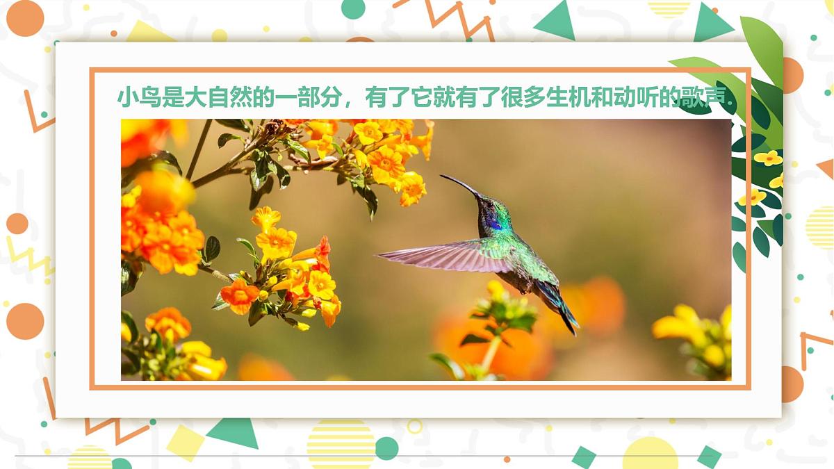 学前教育大班《春暖花开》课件第3页