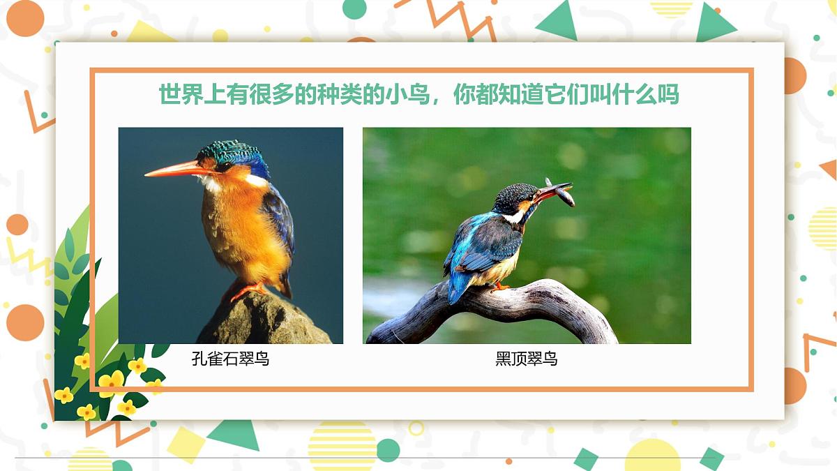 学前教育大班《春暖花开》课件第4页