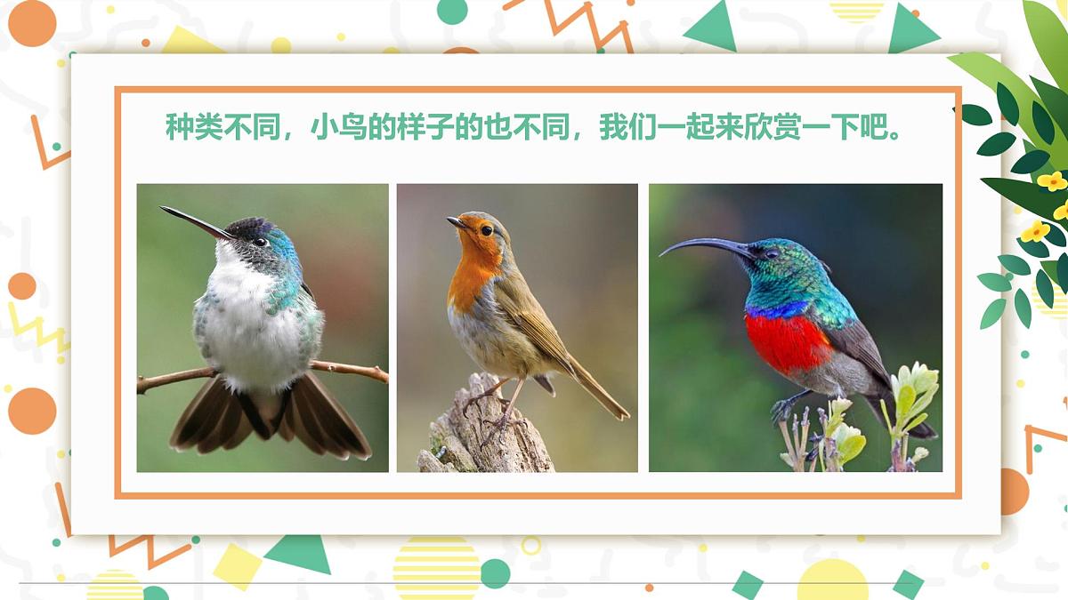 学前教育大班《春暖花开》课件第6页