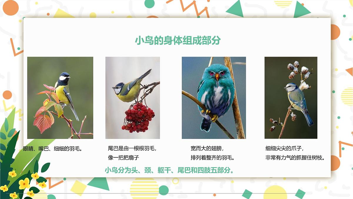 学前教育大班《春暖花开》课件第8页